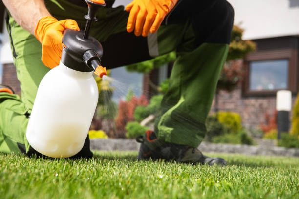 Best Termite Control Services  in Wchester, IN