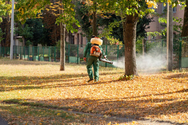 Best Bird Control  in Wchester, IN